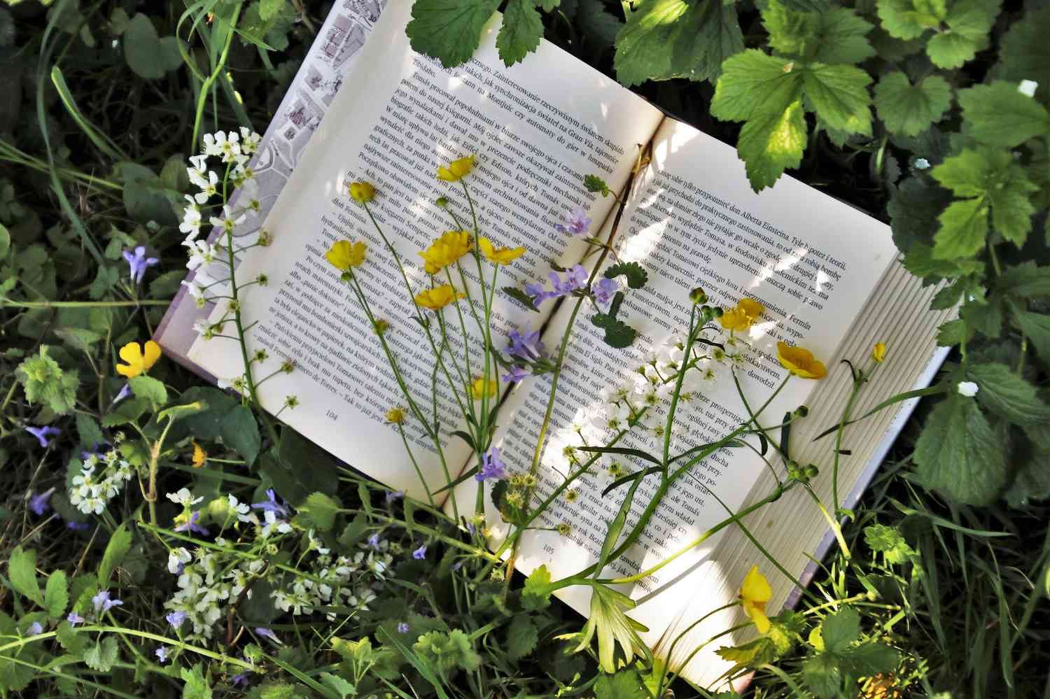 Öppen bok med blommor och gräs runt omkring.