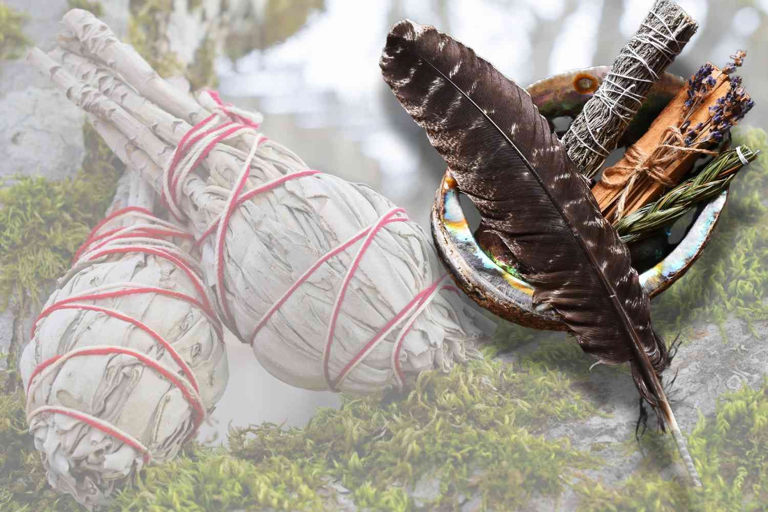 En paua snäcka med flera örter inuti, salvia buntar bredvid.